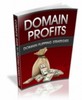 Thumbnail Domain Profits  eBook