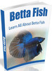 Thumbnail Betta Fish 