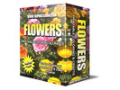 Thumbnail Flowers Coloring eBook