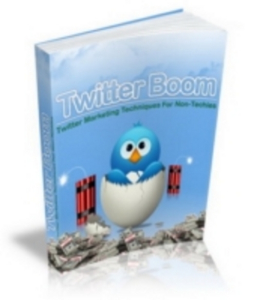 Product picture Twitter Boom eBook