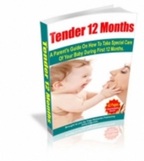 Product picture Tender 12 Months eBook