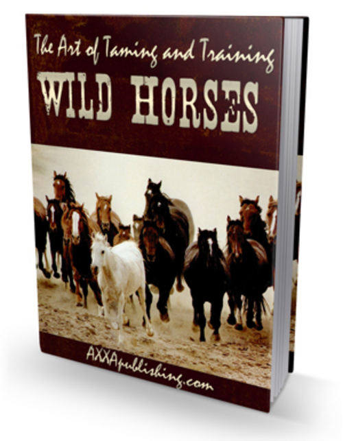 Product picture The Art Of Taming and Training Wild Horses eBook