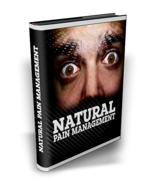 Product picture Natural Pain Management eBook