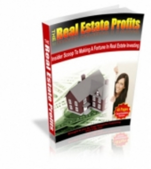 Product picture The Real Estate Profits eBook