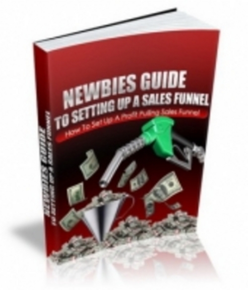 Product picture Newbies Guide To Setting Up A Sales Funnel eBook