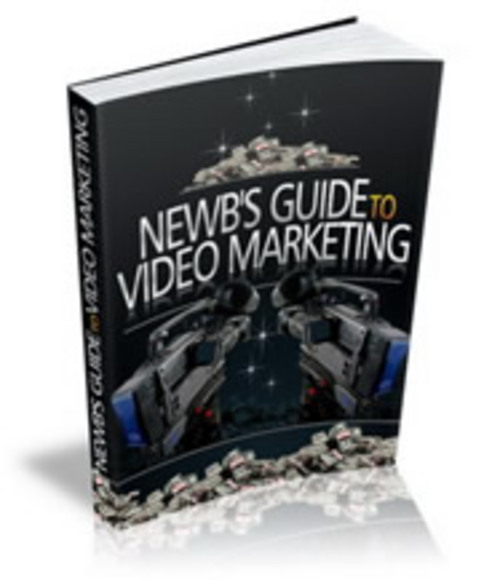 Product picture Newbies Guide To Video Marketing eBook