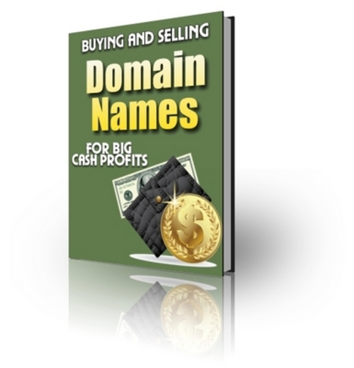 Product picture Buying and Selling Domain Names eBook