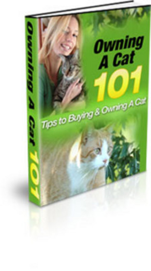 Product picture Owning A Cat 101 eBook