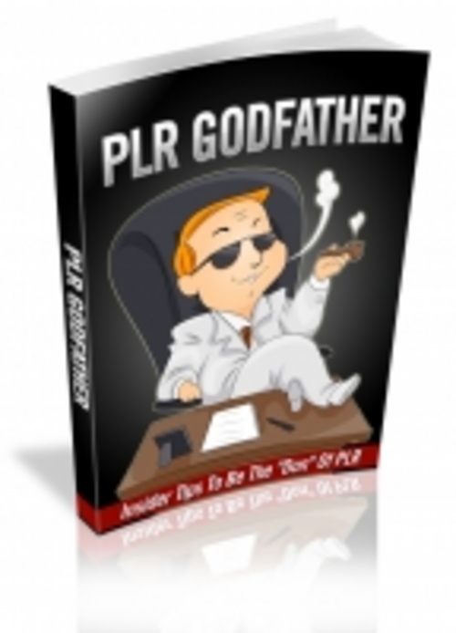Product picture PLR Godfather eBook