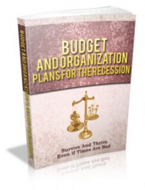 Product picture Budget And Organization Plans For The Recession eBook