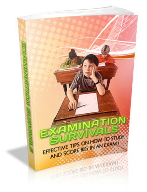 Product picture Examination Survivals eBook