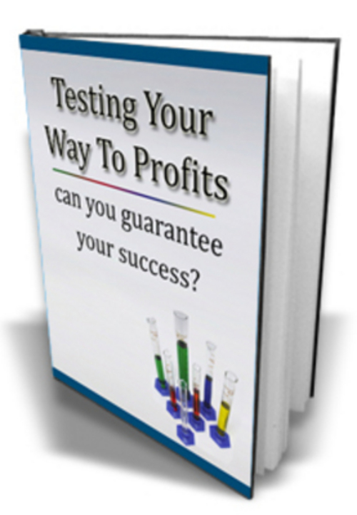 Product picture Testing Your Way To Profits eBook