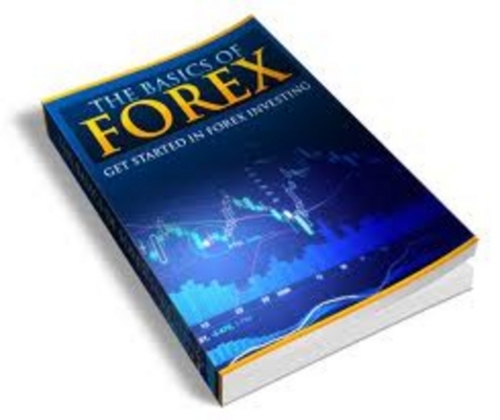 Product picture The Basics Of Forex eBook
