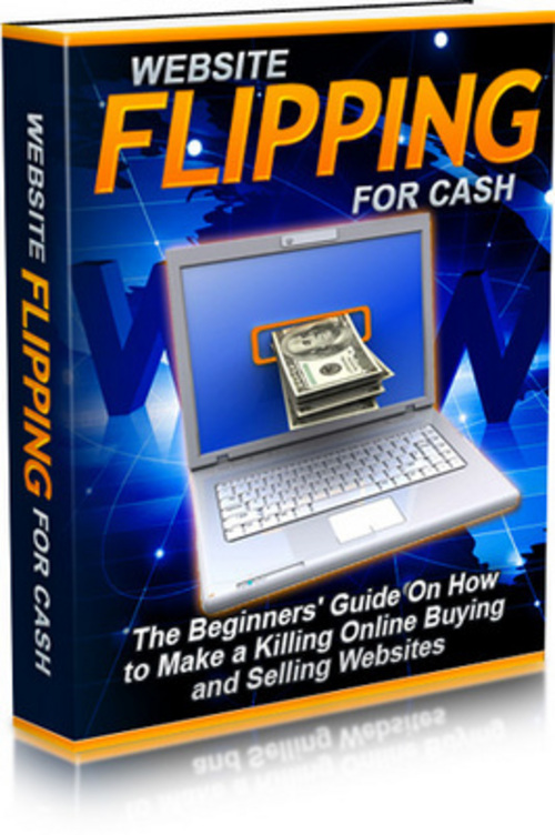 Product picture Website Flipping For Cash eBook