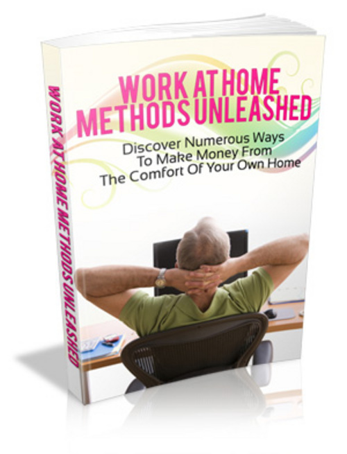 Product picture Work Home Methods Unleashed eBook