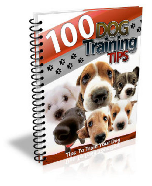 Product picture 100 Dog Training Tips