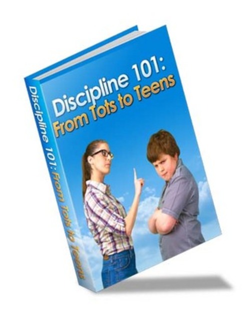 Product picture Discipline 101