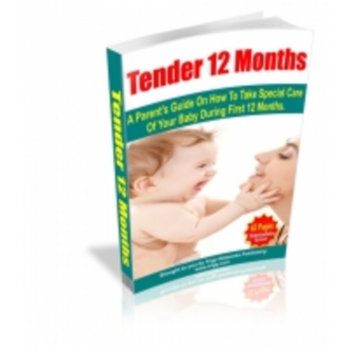 Product picture Tender 12 Months eBook