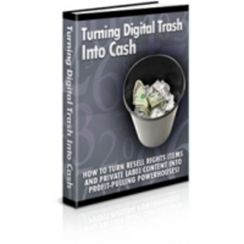 Product picture Turning Digital Trash Into Cash eBook