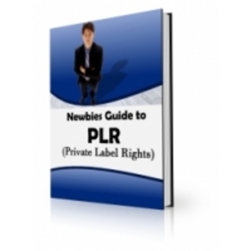 Product picture Newbies Guide To PLR eBook