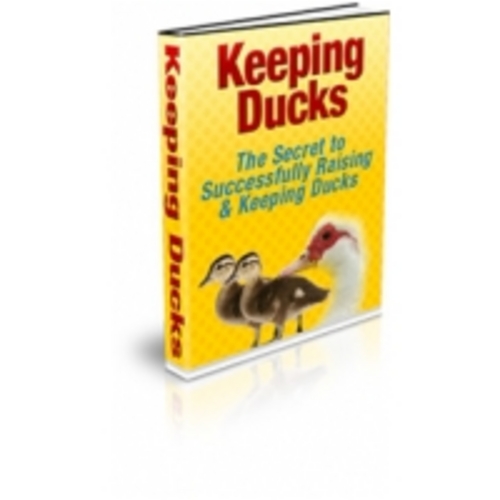 Product picture Keeping Ducks eBook