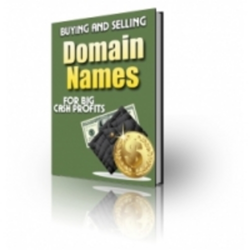 Product picture Buying and Selling Domain Names eBook