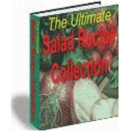 Product picture Salad Recipe eBook